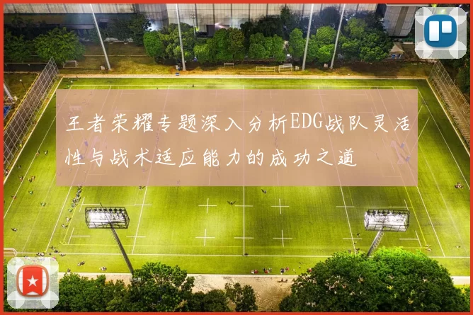 王者荣耀专题深入分析EDG战队灵活性与战术适应能力的成功之道