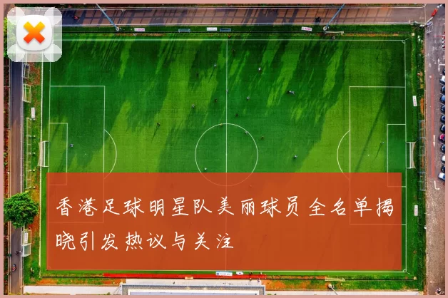 香港足球明星队美丽球员全名单揭晓引发热议与关注