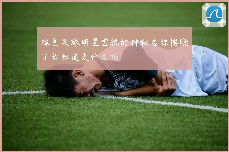绿色足球明星雪糕的神秘名称揭晓了你知道是什么吗