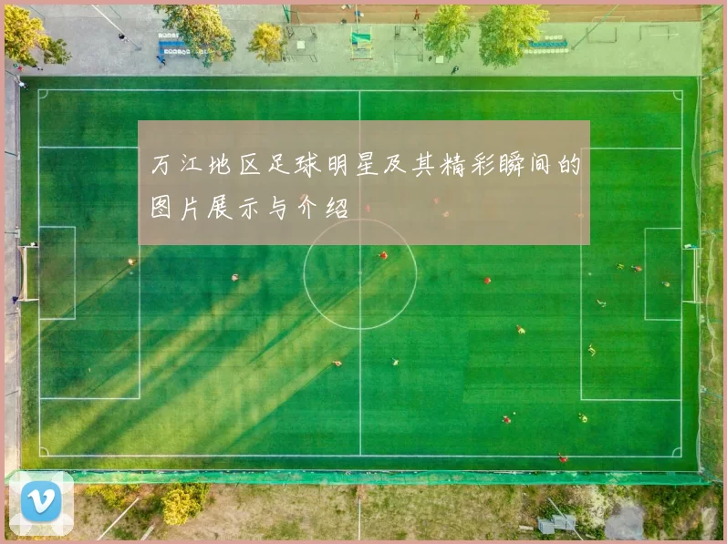 万江地区足球明星及其精彩瞬间的图片展示与介绍