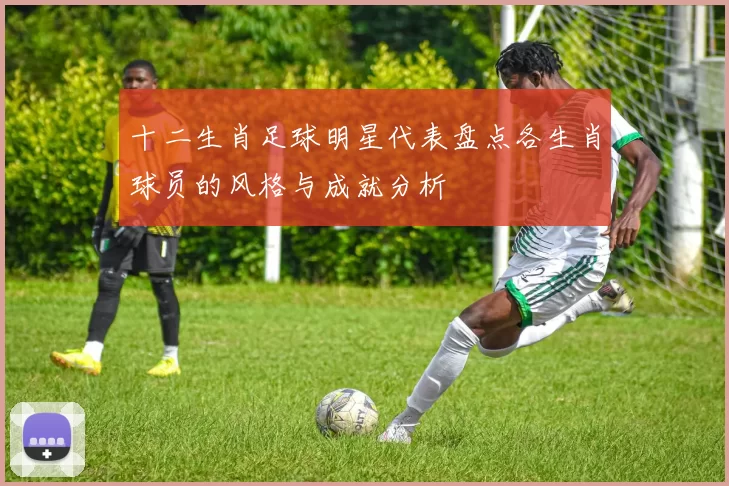 十二生肖足球明星代表盘点各生肖球员的风格与成就分析