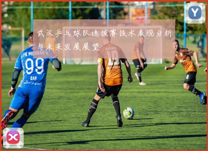 武汉乒乓球队选拔赛技术表现分析与未来发展展望