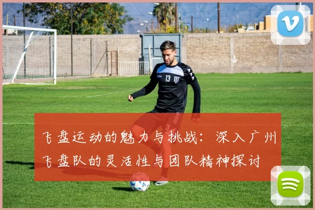 飞盘运动的魅力与挑战：深入广州飞盘队的灵活性与团队精神探讨