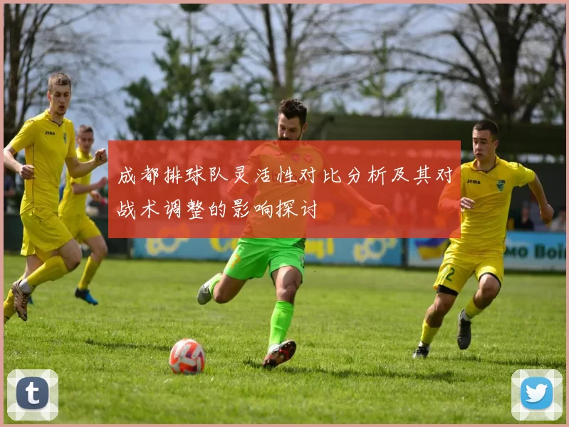 成都排球队灵活性对比分析及其对战术调整的影响探讨