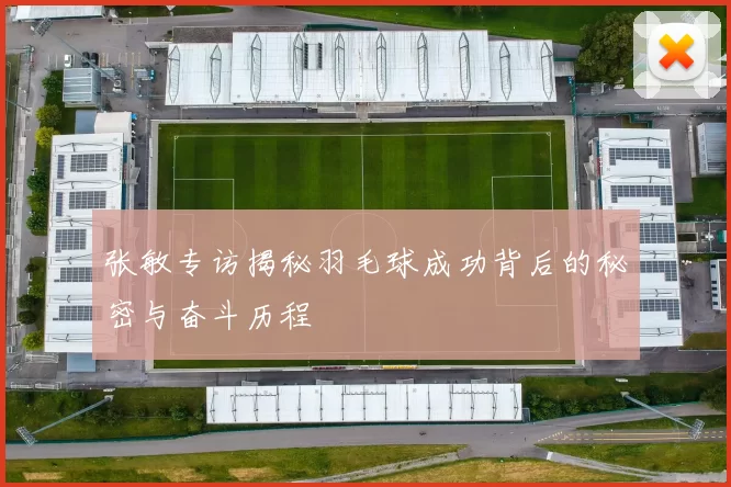 张敏专访揭秘羽毛球成功背后的秘密与奋斗历程