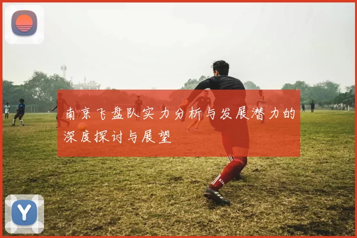 南京飞盘队实力分析与发展潜力的深度探讨与展望
