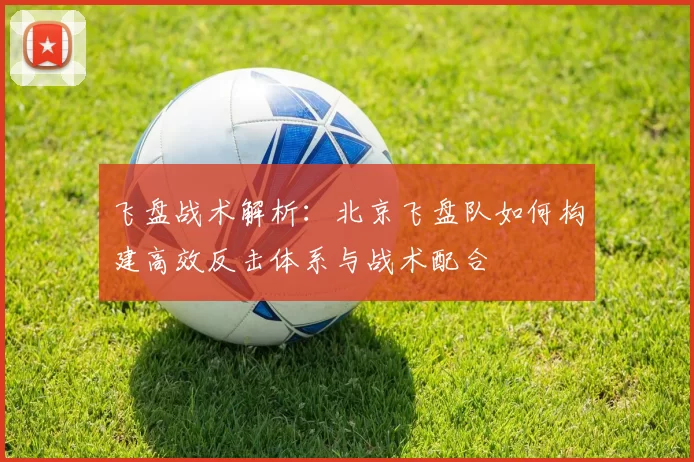 飞盘战术解析：北京飞盘队如何构建高效反击体系与战术配合