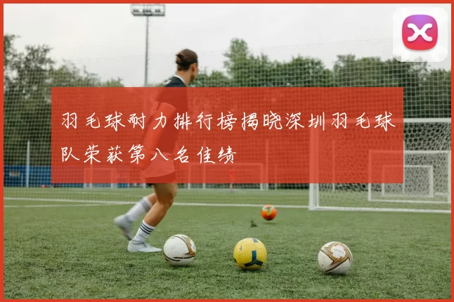 羽毛球耐力排行榜揭晓深圳羽毛球队荣获第八名佳绩