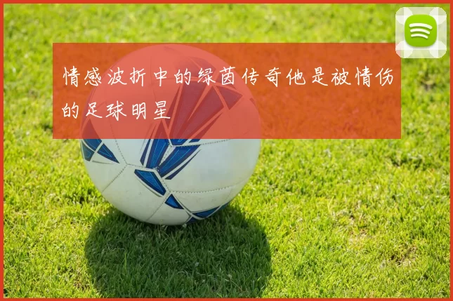 情感波折中的绿茵传奇他是被情伤的足球明星