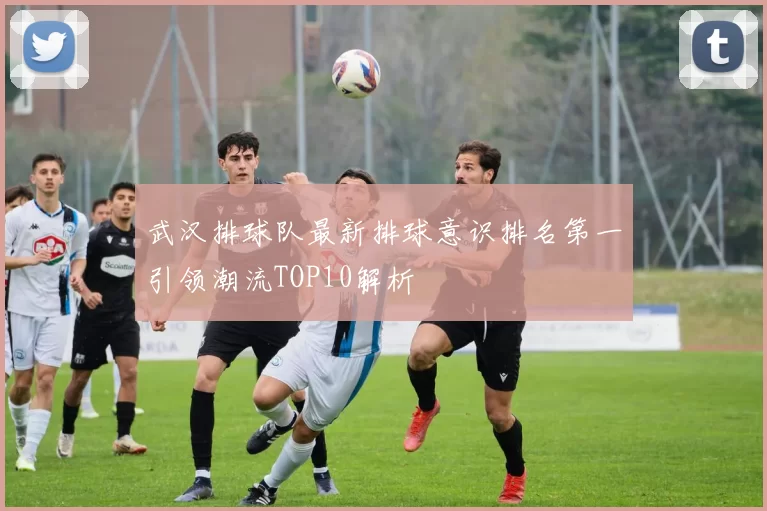 武汉排球队最新排球意识排名第一引领潮流TOP10解析