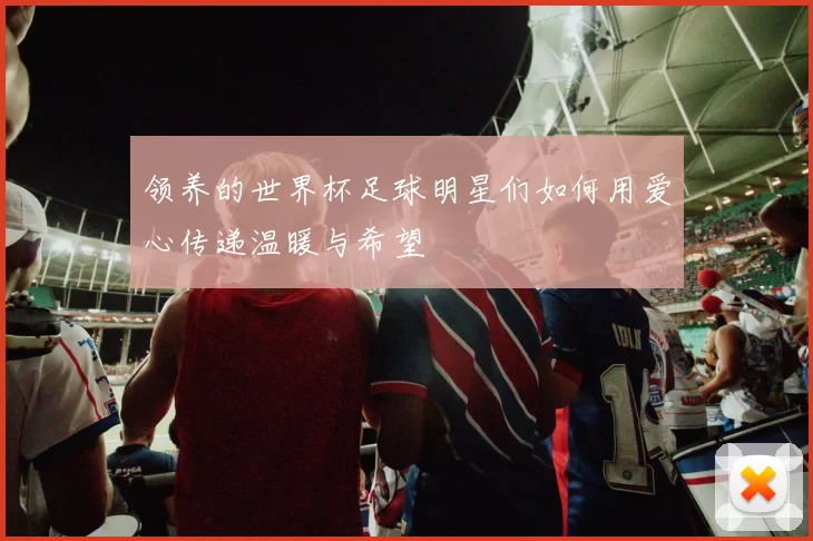 领养的世界杯足球明星们如何用爱心传递温暖与希望