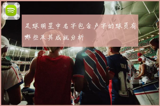 足球明星中名字包含卢字的球员有哪些及其成就分析