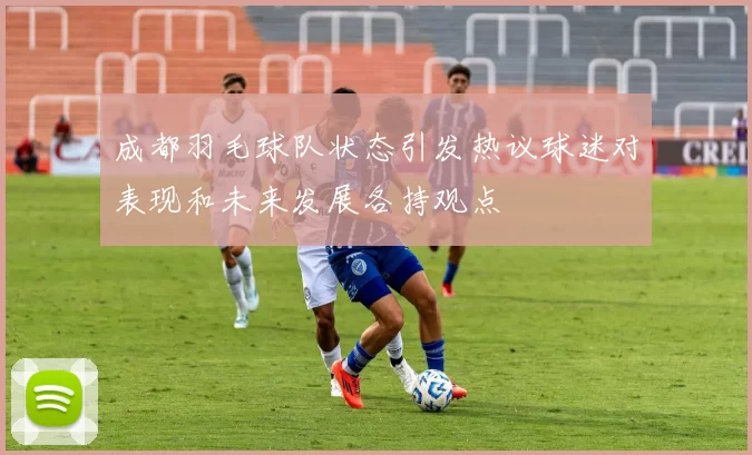 成都羽毛球队状态引发热议球迷对表现和未来发展各持观点