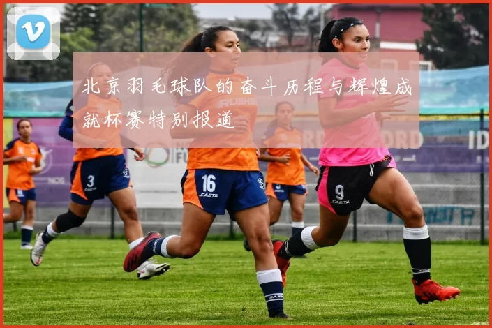 北京羽毛球队的奋斗历程与辉煌成就杯赛特别报道