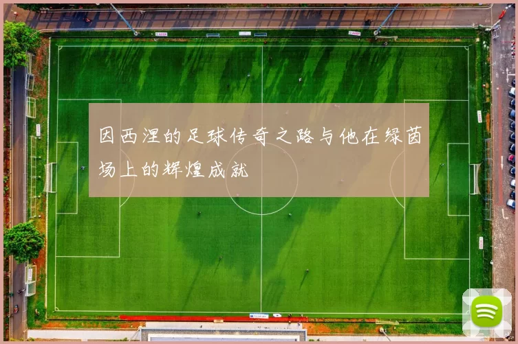 因西涅的足球传奇之路与他在绿茵场上的辉煌成就