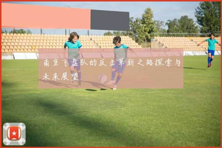 南京飞盘队的反击革新之路探索与未来展望