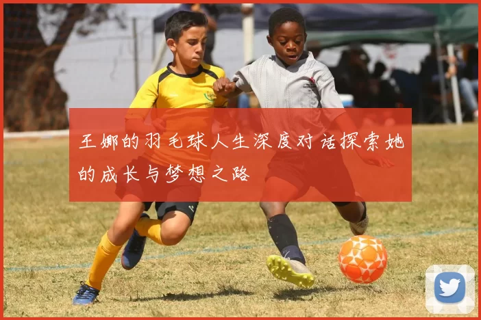 王娜的羽毛球人生深度对话探索她的成长与梦想之路