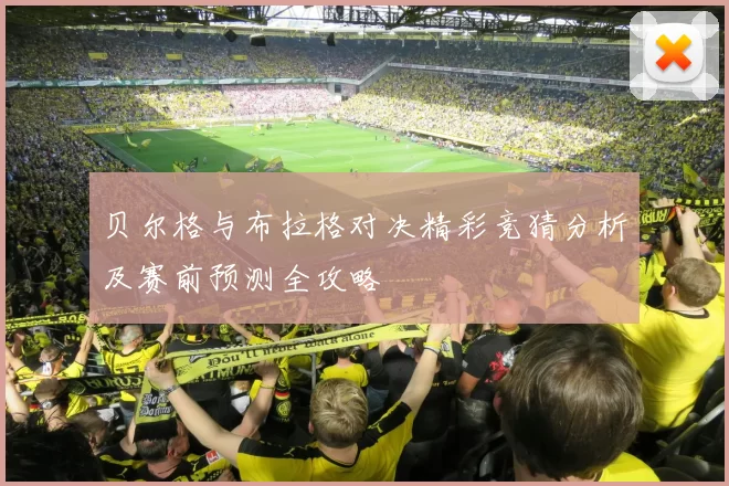贝尔格与布拉格对决精彩竞猜分析及赛前预测全攻略