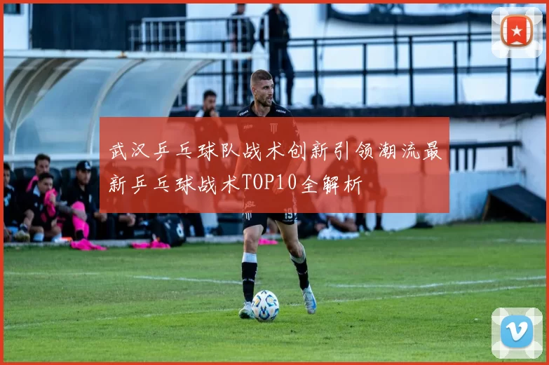 武汉乒乓球队战术创新引领潮流最新乒乓球战术TOP10全解析