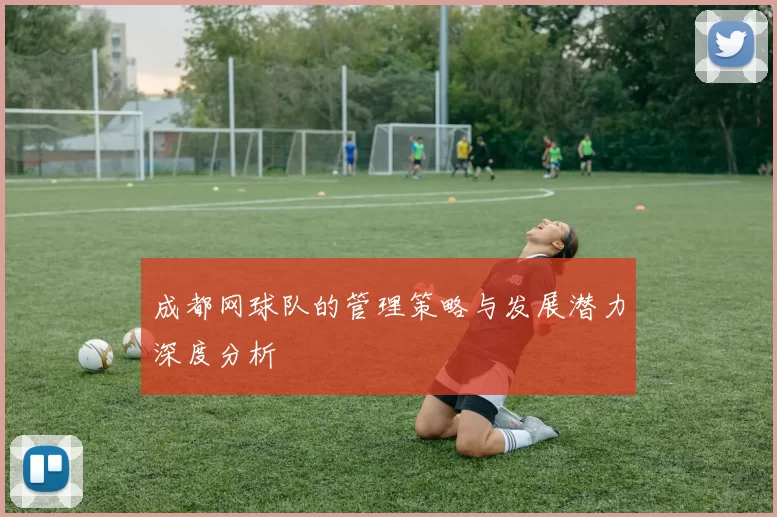 成都网球队的管理策略与发展潜力深度分析