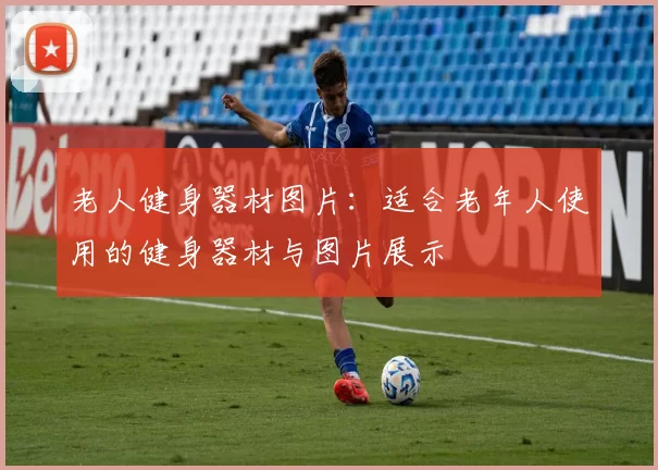 老人健身器材图片：适合老年人使用的健身器材与图片展示